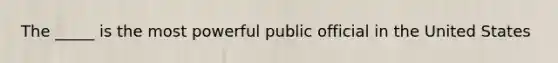 The _____ is the most powerful public official in the United States