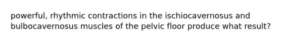 powerful, rhythmic contractions in the ischiocavernosus and bulbocavernosus muscles of the pelvic floor produce what result?