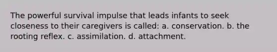 The powerful survival impulse that leads infants to seek closeness to their caregivers is called: a. conservation. b. the rooting reflex. c. assimilation. d. attachment.