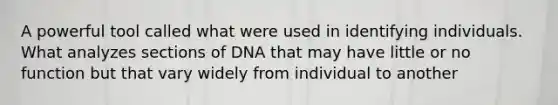 A powerful tool called what were used in identifying individuals. What analyzes sections of DNA that may have little or no function but that vary widely from individual to another