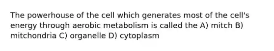 The powerhouse of the cell which generates most of the cell's energy through aerobic metabolism is called the A) mitch B) mitchondria C) organelle D) cytoplasm