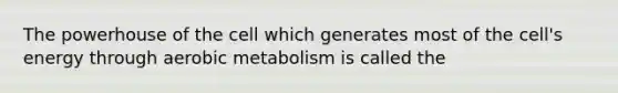 The powerhouse of the cell which generates most of the cell's energy through aerobic metabolism is called the