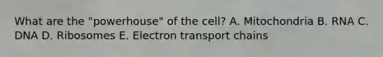 What are the "powerhouse" of the cell? A. Mitochondria B. RNA C. DNA D. Ribosomes E. Electron transport chains