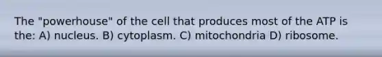 The "powerhouse" of the cell that produces most of the ATP is the: A) nucleus. B) cytoplasm. C) mitochondria D) ribosome.