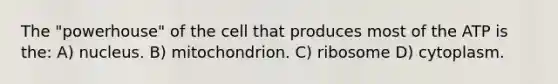 The "powerhouse" of the cell that produces most of the ATP is the: A) nucleus. B) mitochondrion. C) ribosome D) cytoplasm.