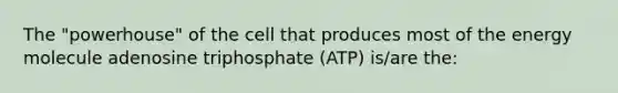 The "powerhouse" of the cell that produces most of the energy molecule adenosine triphosphate (ATP) is/are the: