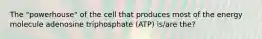 The "powerhouse" of the cell that produces most of the energy molecule adenosine triphosphate (ATP) is/are the?