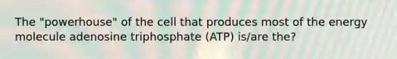 The "powerhouse" of the cell that produces most of the energy molecule adenosine triphosphate (ATP) is/are the?