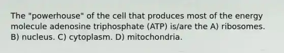 The "powerhouse" of the cell that produces most of the energy molecule adenosine triphosphate (ATP) is/are the A) ribosomes. B) nucleus. C) cytoplasm. D) mitochondria.