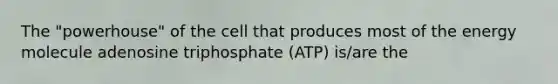 The "powerhouse" of the cell that produces most of the energy molecule adenosine triphosphate (ATP) is/are the