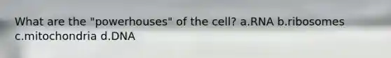 What are the "powerhouses" of the cell? a.RNA b.ribosomes c.mitochondria d.DNA