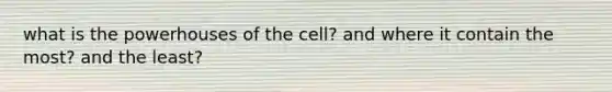 what is the powerhouses of the cell? and where it contain the most? and the least?