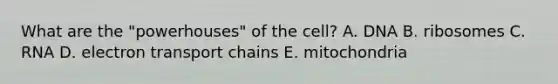 What are the "powerhouses" of the cell? A. DNA B. ribosomes C. RNA D. electron transport chains E. mitochondria
