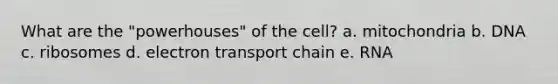 What are the "powerhouses" of the cell? a. mitochondria b. DNA c. ribosomes d. electron transport chain e. RNA