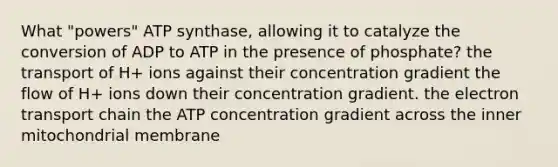 What "powers" ATP synthase, allowing it to catalyze the conversion of ADP to ATP in the presence of phosphate? the transport of H+ ions against their concentration gradient the flow of H+ ions down their concentration gradient. the electron transport chain the ATP concentration gradient across the inner mitochondrial membrane