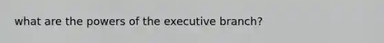 what are the powers of the executive branch?