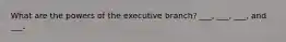 What are the powers of the executive branch? ___, ___, ___, and ___.