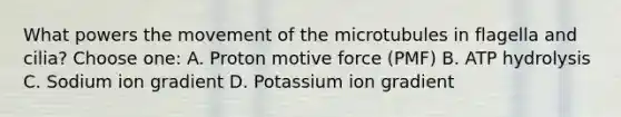 What powers the movement of the microtubules in flagella and cilia? Choose one: A. Proton motive force (PMF) B. ATP hydrolysis C. Sodium ion gradient D. Potassium ion gradient