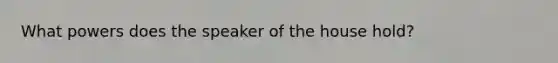 What powers does the speaker of the house hold?