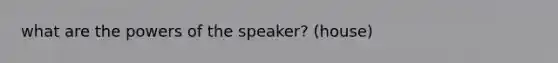 what are the powers of the speaker? (house)