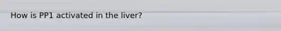 How is PP1 activated in the liver?