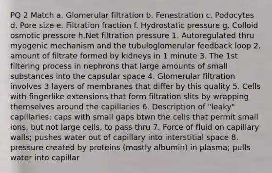 PQ 2 Match a. Glomerular filtration b. Fenestration c. Podocytes d. Pore size e. Filtration fraction f. Hydrostatic pressure g. Colloid osmotic pressure h.Net filtration pressure 1. Autoregulated thru myogenic mechanism and the tubuloglomerular feedback loop 2. amount of filtrate formed by kidneys in 1 minute 3. The 1st filtering process in nephrons that large amounts of small substances into the capsular space 4. Glomerular filtration involves 3 layers of membranes that differ by this quality 5. Cells with fingerlike extensions that form filtration slits by wrapping themselves around the capillaries 6. Description of "leaky" capillaries; caps with small gaps btwn the cells that permit small ions, but not large cells, to pass thru 7. Force of fluid on capillary walls; pushes water out of capillary into interstitial space 8. pressure created by proteins (mostly albumin) in plasma; pulls water into capillar