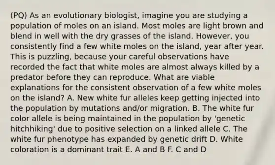 (PQ) As an evolutionary biologist, imagine you are studying a population of moles on an island. Most moles are light brown and blend in well with the dry grasses of the island. However, you consistently find a few white moles on the island, year after year. This is puzzling, because your careful observations have recorded the fact that white moles are almost always killed by a predator before they can reproduce. What are viable explanations for the consistent observation of a few white moles on the island? A. New white fur alleles keep getting injected into the population by mutations and/or migration. B. The white fur color allele is being maintained in the population by 'genetic hitchhiking' due to positive selection on a linked allele C. The white fur phenotype has expanded by genetic drift D. White coloration is a dominant trait E. A and B F. C and D