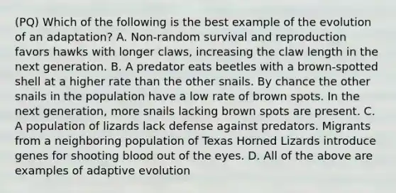 (PQ) Which of the following is the best example of the evolution of an adaptation? A. Non-random survival and reproduction favors hawks with longer claws, increasing the claw length in the next generation. B. A predator eats beetles with a brown-spotted shell at a higher rate than the other snails. By chance the other snails in the population have a low rate of brown spots. In the next generation, more snails lacking brown spots are present. C. A population of lizards lack defense against predators. Migrants from a neighboring population of Texas Horned Lizards introduce genes for shooting blood out of the eyes. D. All of the above are examples of adaptive evolution