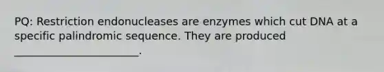 PQ: Restriction endonucleases are enzymes which cut DNA at a specific palindromic sequence. They are produced _______________________.