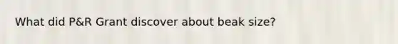 What did P&R Grant discover about beak size?