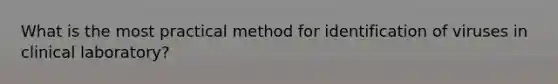What is the most practical method for identification of viruses in clinical laboratory?