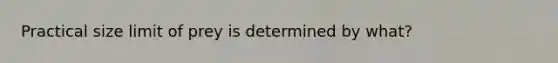 Practical size limit of prey is determined by what?