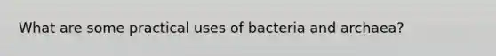 What are some practical uses of bacteria and archaea?