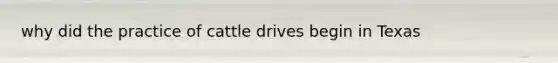why did the practice of cattle drives begin in Texas