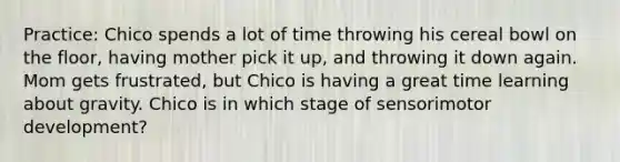 Practice: Chico spends a lot of time throwing his cereal bowl on the floor, having mother pick it up, and throwing it down again. Mom gets frustrated, but Chico is having a great time learning about gravity. Chico is in which stage of sensorimotor development?