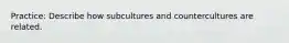 Practice: Describe how subcultures and countercultures are related.