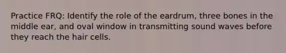 Practice FRQ: Identify the role of the eardrum, three bones in the middle ear, and oval window in transmitting sound waves before they reach the hair cells.