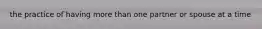 the practice of having more than one partner or spouse at a time