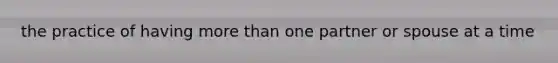 the practice of having more than one partner or spouse at a time