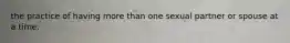 the practice of having more than one sexual partner or spouse at a time.