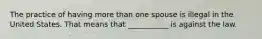 The practice of having more than one spouse is illegal in the United States. That means that ___________ is against the law.