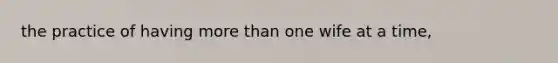 the practice of having more than one wife at a time,