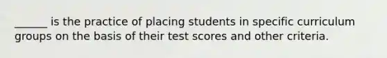 ______ is the practice of placing students in specific curriculum groups on the basis of their test scores and other criteria.