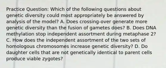 Practice Question: Which of the following questions about genetic diversity could most appropriately be answered by analysis of the model? A. Does crossing-over generate more genetic diversity than the fusion of gametes does? B. Does DNA methylation stop independent assortment during metaphase 2? C. How does the independent assortment of the two sets of homologous chromosomes increase genetic diversity? D. Do daughter cells that are not genetically identical to parent cells produce viable zygotes?