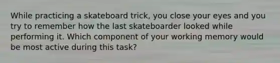 While practicing a skateboard trick, you close your eyes and you try to remember how the last skateboarder looked while performing it. Which component of your working memory would be most active during this task?