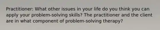 Practitioner: What other issues in your life do you think you can apply your problem-solving skills? The practitioner and the client are in what component of problem-solving therapy?