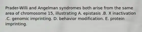 Prader-Willi and Angelman syndromes both arise from the same area of chromosome 15, illustrating A. epistasis .B. X inactivation .C. genomic imprinting. D. behavior modification. E. protein imprinting.