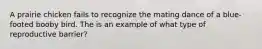 A prairie chicken fails to recognize the mating dance of a blue-footed booby bird. The is an example of what type of reproductive barrier?