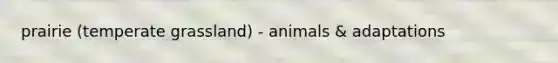 prairie (temperate grassland) - animals & adaptations