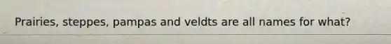 Prairies, steppes, pampas and veldts are all names for what?